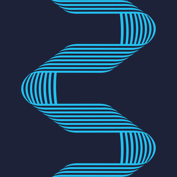 Solidatus-shapes-02