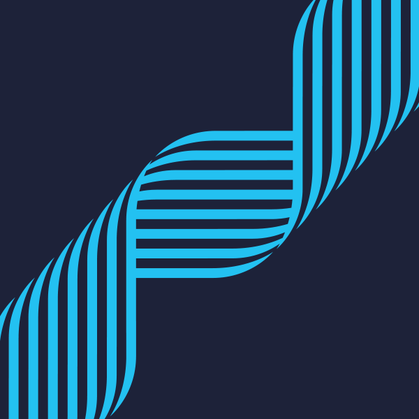 Solidatus-shapes-03